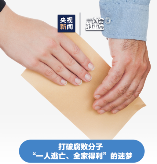 干货！“两高”报告速览→